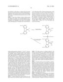 Polymeric Reagents Comprising a Terminal Vinylic Group and Conjugates Formed Therefrom diagram and image