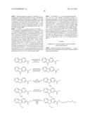 Polymeric Reagents Comprising a Terminal Vinylic Group and Conjugates Formed Therefrom diagram and image