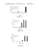 Treatment of Prostate Cancer with DDC Inhibitor diagram and image