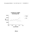 COMPOUNDS ACTING ON THE SEROTONIN TRANSPORTER diagram and image