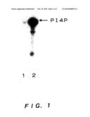 HUMAN GENE diagram and image