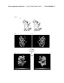 Starch Binding Domain and Use Thereof diagram and image