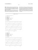 Starch Binding Domain and Use Thereof diagram and image