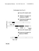 METHODS AND MEANS FOR REMOVAL OF A SELECTED DNA SEQUENCE diagram and image