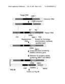 METHODS AND MEANS FOR REMOVAL OF A SELECTED DNA SEQUENCE diagram and image