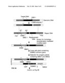 METHODS AND MEANS FOR REMOVAL OF A SELECTED DNA SEQUENCE diagram and image