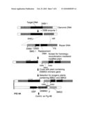 METHODS AND MEANS FOR REMOVAL OF A SELECTED DNA SEQUENCE diagram and image