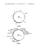 PLANTS HAVING MODIFIED GROWTH CHARACTERISTICS AND METHOD FOR MAKING THE SAME diagram and image