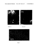 MERCURY ABSORPTION USING CHABAZITE SUPPORTED METALLIC NANODOTS diagram and image