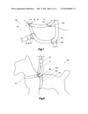 Double loop auto-adjust pet restraint device diagram and image