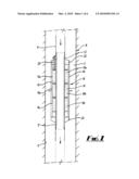 Swellable packer with fluid supply diagram and image