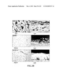 PRINTABLE THIN-FILM TRANSISTORS WITH HIGH DIELECTRIC CONSTANT GATE INSULATORS AND METHODS FOR PRODUCING SAME diagram and image