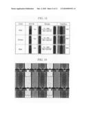 THIN FILM TRANSISTOR ARRAY PANEL AND MANUFACTURING METHOD OF THE SAME diagram and image