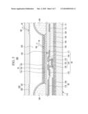 ORGANIC LIGHT EMITTING DIODE DISPLAY diagram and image