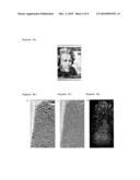 USE OF FINGERPRINT RECOGNITION EQUIPMENT FOR THE AUTHENTICATION OF SHEET-LIKE ITEMS diagram and image