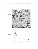 MAGNETIC NANOPARTICLES, BULK NANOCOMPOSITE MAGNETS, AND PRODUCTION THEREOF diagram and image