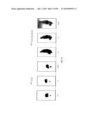 BISAMINOETHANETHIOL-TARGETING LIGAND CONJUGATES AND COMPOSITIONS diagram and image