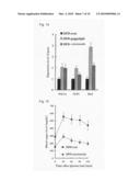 Agent for prophylactic and/or therapeutic treatment of diabetes diagram and image