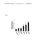 METHODS OF MAKING A TRANSPLANTABLE BONE REPAIR SYSTEM USING MULTIPOTENT STEM CELLS diagram and image