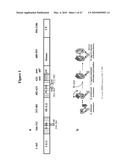 PAN-CELL SURFACE RECEPTOR-SPECIFIC THERAPEUTICS diagram and image