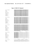 PAN-CELL SURFACE RECEPTOR-SPECIFIC THERAPEUTICS diagram and image