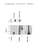 PAN-CELL SURFACE RECEPTOR-SPECIFIC THERAPEUTICS diagram and image