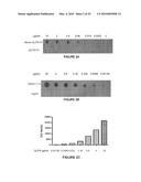 METHODS AND REAGENTS FOR THE ANALYSIS AND PURIFICATION OF POLYSACCHARIDES diagram and image