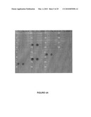 METHODS AND REAGENTS FOR THE ANALYSIS AND PURIFICATION OF POLYSACCHARIDES diagram and image