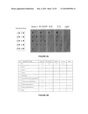 METHODS AND REAGENTS FOR THE ANALYSIS AND PURIFICATION OF POLYSACCHARIDES diagram and image