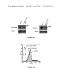 METHODS AND REAGENTS FOR THE ANALYSIS AND PURIFICATION OF POLYSACCHARIDES diagram and image