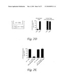 INDOLEAMINE 2,3-DIOXYGENASE, PD-1/PD-L PATHWAYS, AND CTLA4 PATHWAYS IN THE ACTIVATION OF REGULATORY T CELLS diagram and image