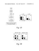 INDOLEAMINE 2,3-DIOXYGENASE, PD-1/PD-L PATHWAYS, AND CTLA4 PATHWAYS IN THE ACTIVATION OF REGULATORY T CELLS diagram and image