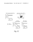 INDOLEAMINE 2,3-DIOXYGENASE, PD-1/PD-L PATHWAYS, AND CTLA4 PATHWAYS IN THE ACTIVATION OF REGULATORY T CELLS diagram and image