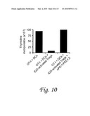 INDOLEAMINE 2,3-DIOXYGENASE, PD-1/PD-L PATHWAYS, AND CTLA4 PATHWAYS IN THE ACTIVATION OF REGULATORY T CELLS diagram and image