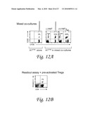 INDOLEAMINE 2,3-DIOXYGENASE, PD-1/PD-L PATHWAYS, AND CTLA4 PATHWAYS IN THE ACTIVATION OF REGULATORY T CELLS diagram and image