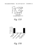 INDOLEAMINE 2,3-DIOXYGENASE, PD-1/PD-L PATHWAYS, AND CTLA4 PATHWAYS IN THE ACTIVATION OF REGULATORY T CELLS diagram and image