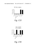 INDOLEAMINE 2,3-DIOXYGENASE, PD-1/PD-L PATHWAYS, AND CTLA4 PATHWAYS IN THE ACTIVATION OF REGULATORY T CELLS diagram and image