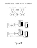 INDOLEAMINE 2,3-DIOXYGENASE, PD-1/PD-L PATHWAYS, AND CTLA4 PATHWAYS IN THE ACTIVATION OF REGULATORY T CELLS diagram and image