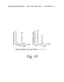 INDOLEAMINE 2,3-DIOXYGENASE, PD-1/PD-L PATHWAYS, AND CTLA4 PATHWAYS IN THE ACTIVATION OF REGULATORY T CELLS diagram and image