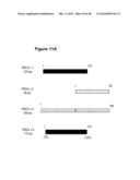 PROSTATE STEM CELL ANTIGEN (PSCA) VARIANTS AND SUBSEQUENCES THEREOF diagram and image