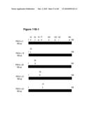 PROSTATE STEM CELL ANTIGEN (PSCA) VARIANTS AND SUBSEQUENCES THEREOF diagram and image