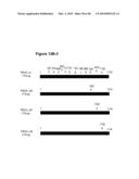 PROSTATE STEM CELL ANTIGEN (PSCA) VARIANTS AND SUBSEQUENCES THEREOF diagram and image