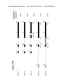 PROSTATE STEM CELL ANTIGEN (PSCA) VARIANTS AND SUBSEQUENCES THEREOF diagram and image