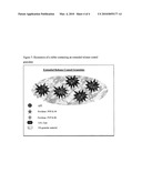 MODIFIED RELEASE COMPOSITION OF LEVETIRACETAM AND PROCESS FOR THE PREPARATION THEREOF diagram and image