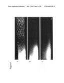 Nanoparticles for immunotherapy diagram and image