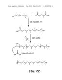 Nanoparticles for immunotherapy diagram and image