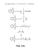 Nanoparticles for immunotherapy diagram and image