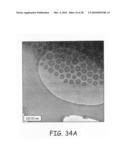 Nanoparticles for immunotherapy diagram and image