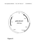 Generation of Recombinant Genes in Bacteriophages diagram and image