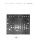 Organism-Specific Hybridizable Nucleic Acid Molecule diagram and image